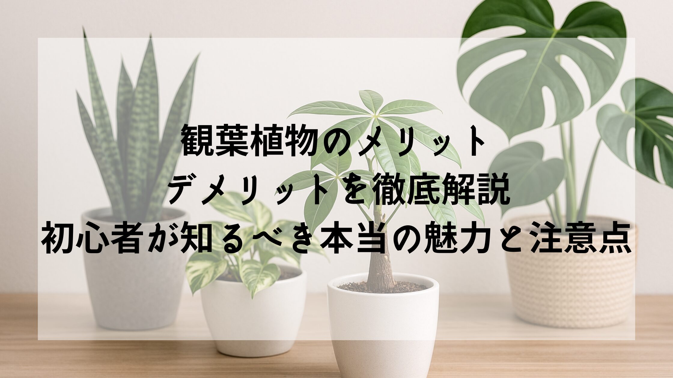 【保存版】観葉植物のメリット・デメリットを徹底解説｜初心者が知るべき本当の魅力と注意点