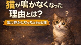 猫が鳴かなくなった理由とは？急に静かになったときの心理